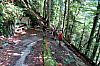 IMG_3783.JPG